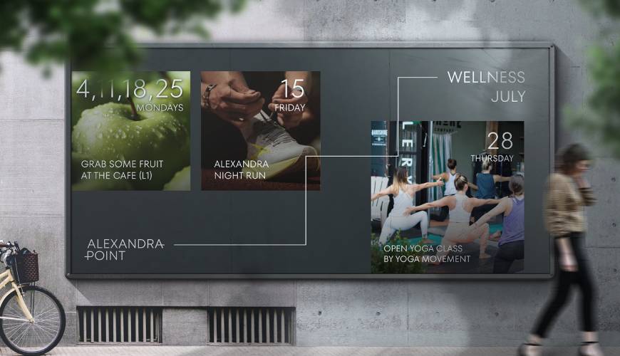 泾县画册设计公司如何进行品牌审核